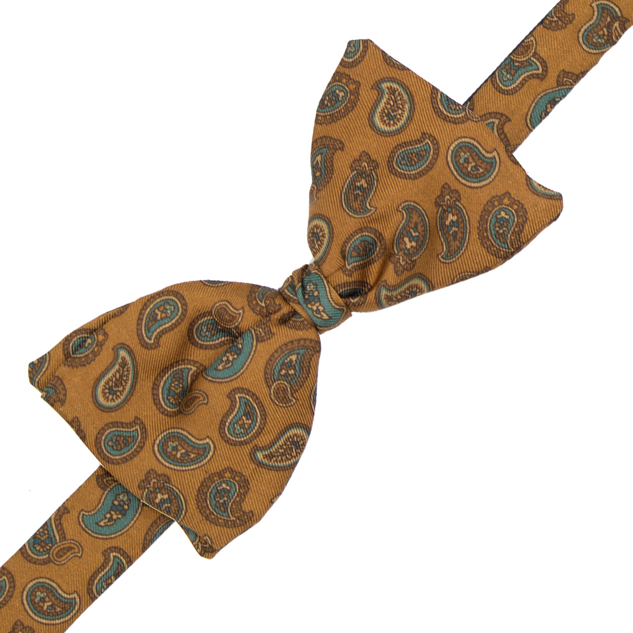Papillon marrone con paisley verde acqua