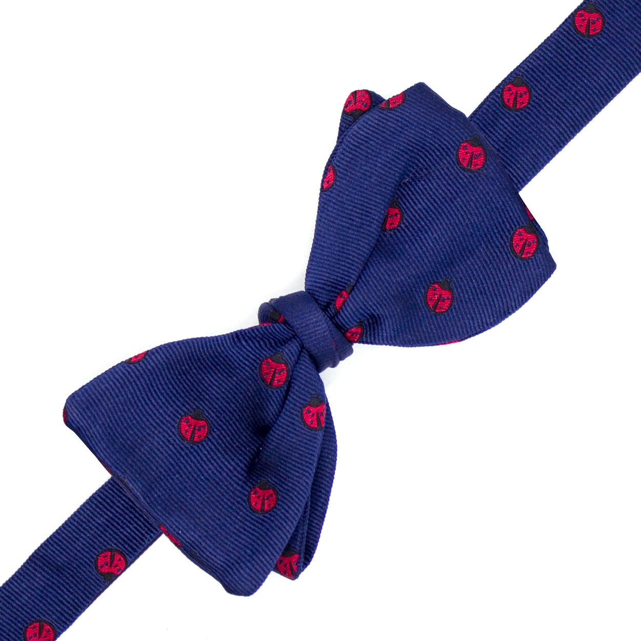 Papillon blu con coccinelle rosse